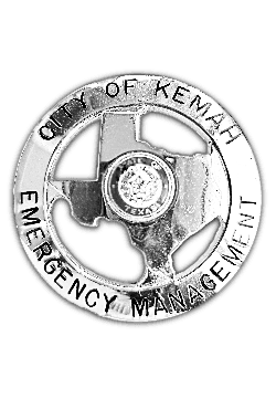 Emergency Management Badge
